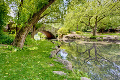 bridge-orig