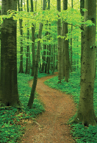 path_use